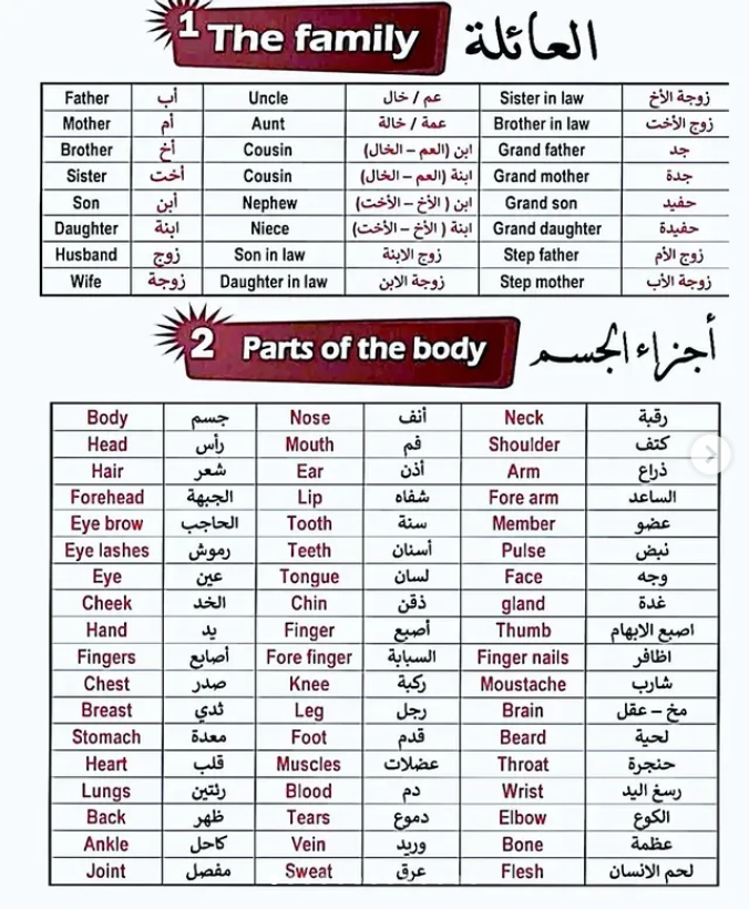 تعلم الإنجليزية معنـا 🎓 tweet media