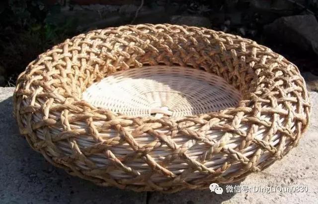 jackie kangaroo tweet media