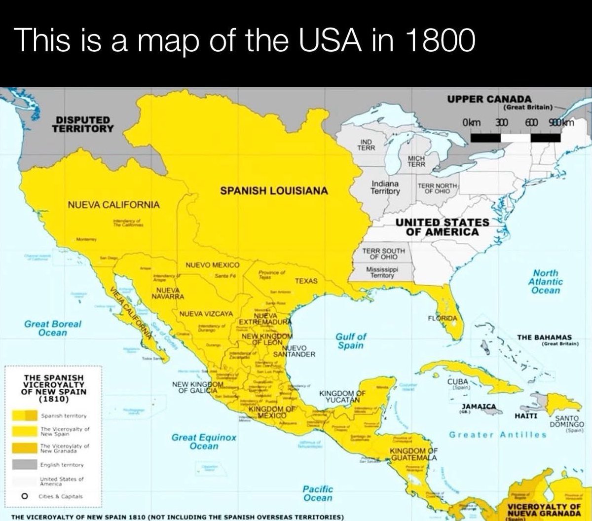 Giga Based Dad tweet media