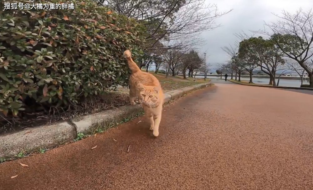 Paulina Tomczak tweet media