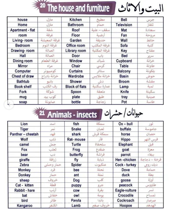 تعلم الإنجليزية معنـا 🎓 tweet media