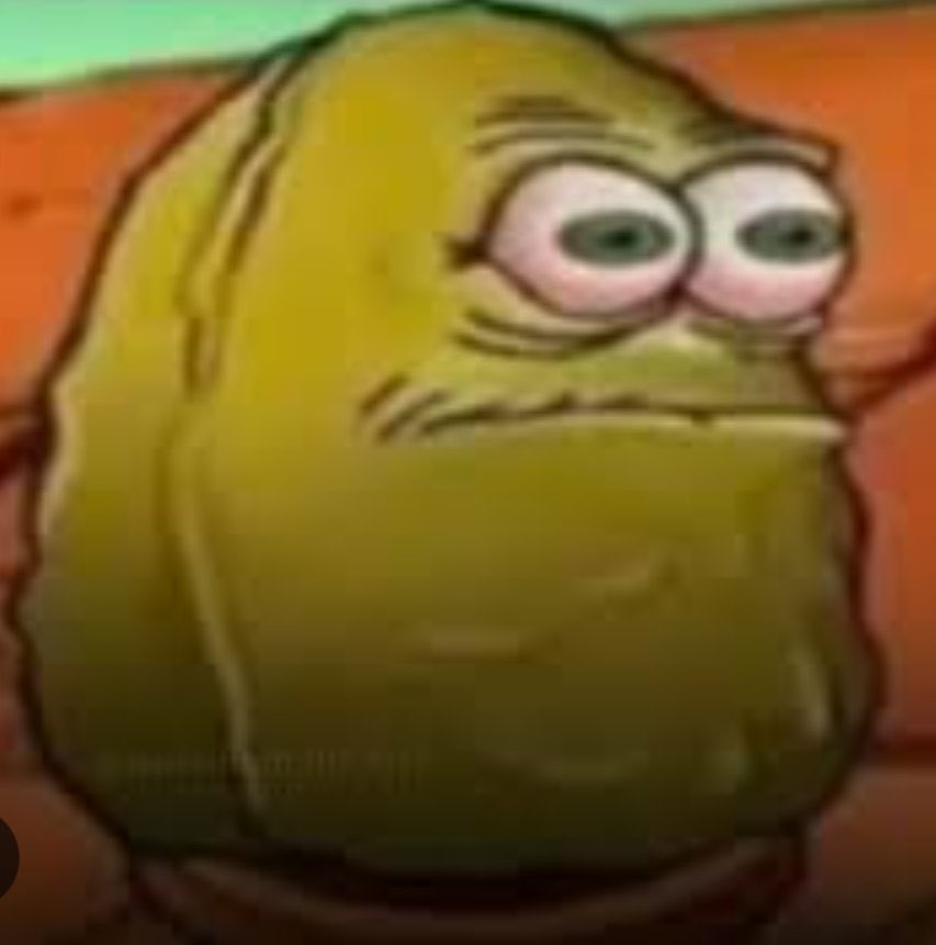 Ringo_the_fly tweet media