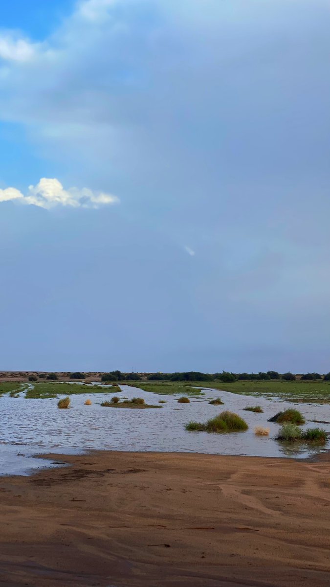 بدر الناحــز tweet media