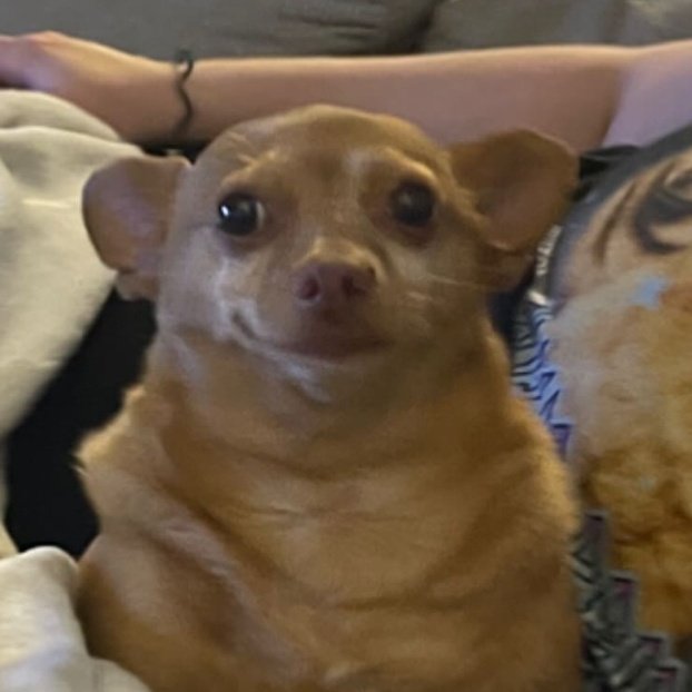 BMS | JOEL ZEPPELI 🇨🇮 tweet media