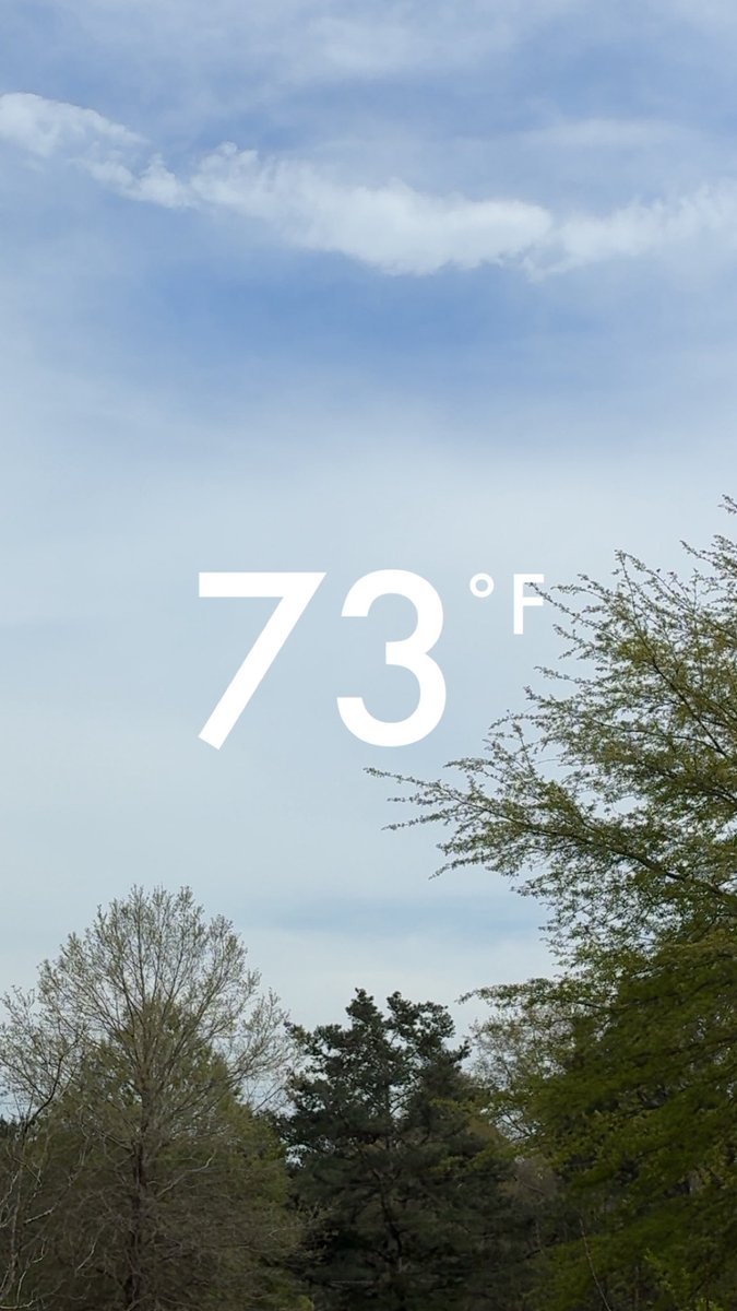 Diane Johnson Stroud tweet media