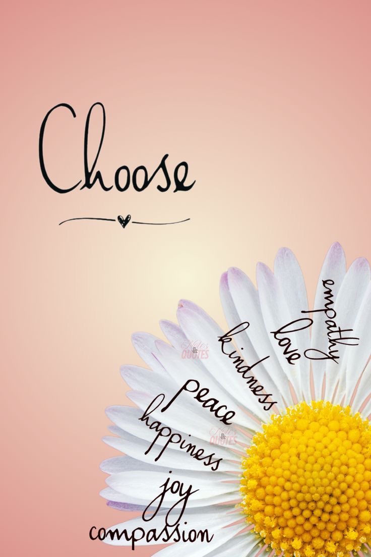 Dr Poppy Reynolds tweet media