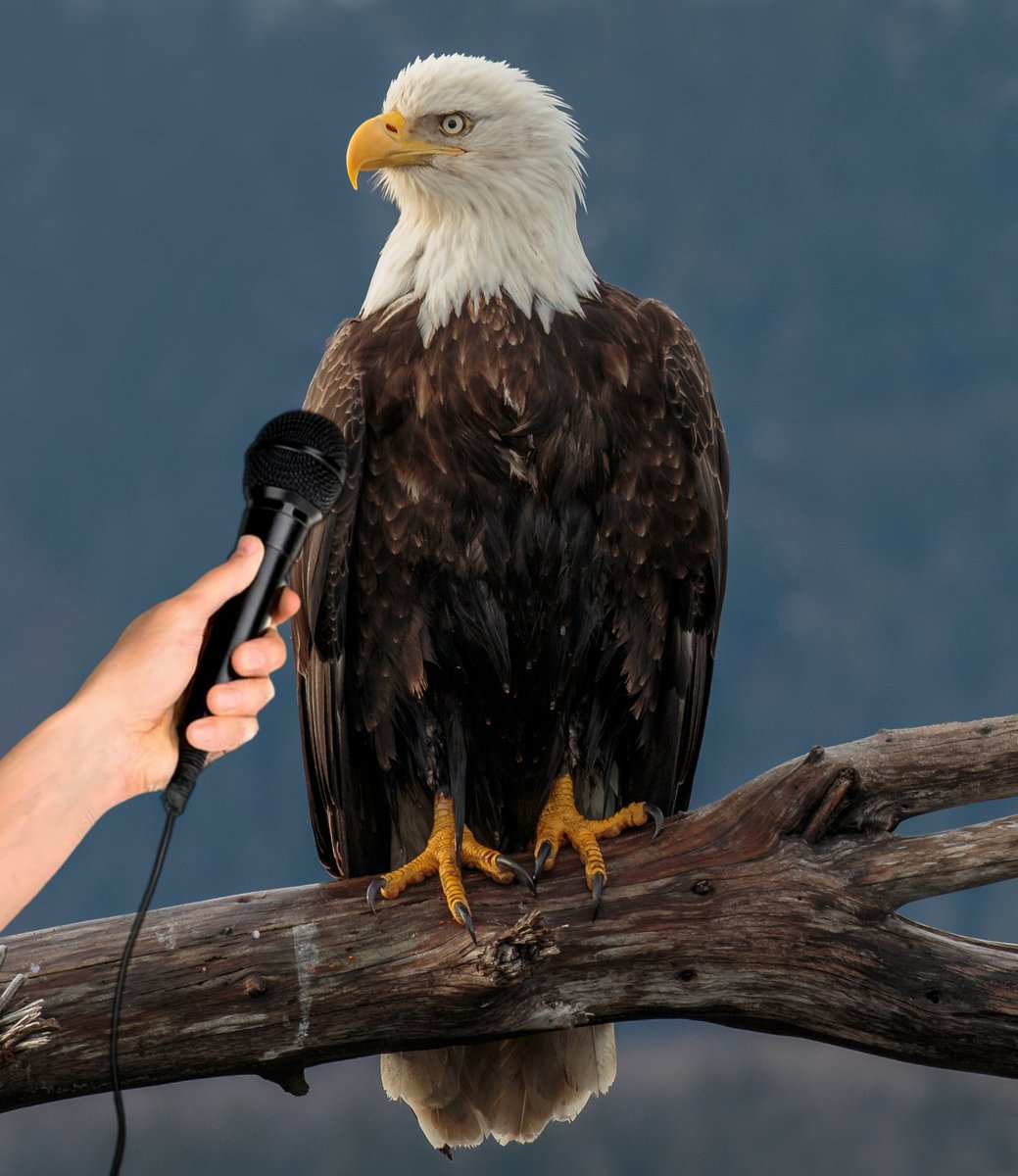 Miss Antrópica tweet media