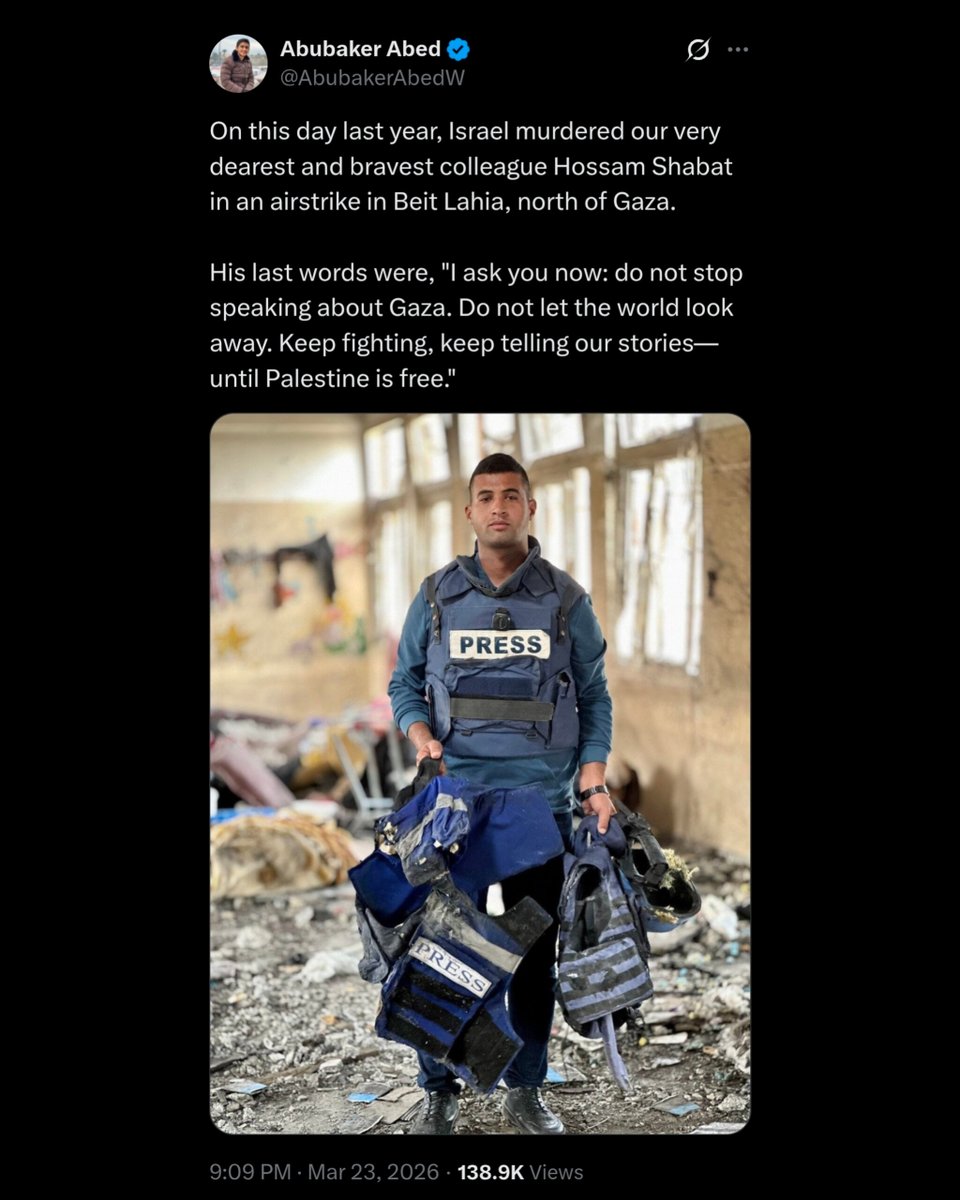 gato fumador tweet media