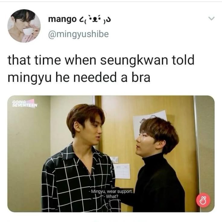 Carat Hall Of Fame tweet media