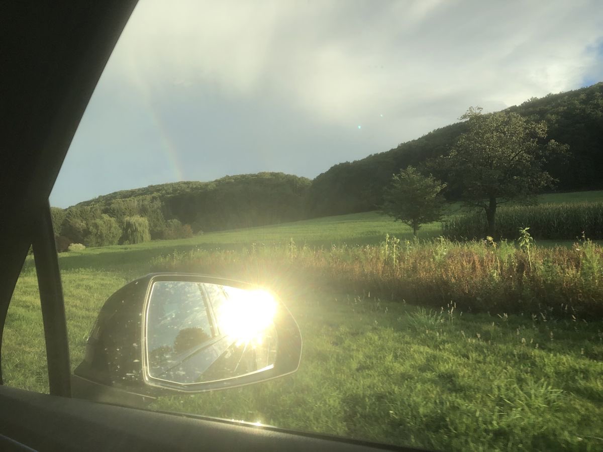 dreamland tweet media