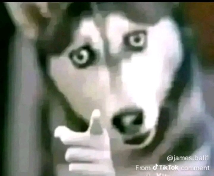 Rotondwa🤎 tweet media