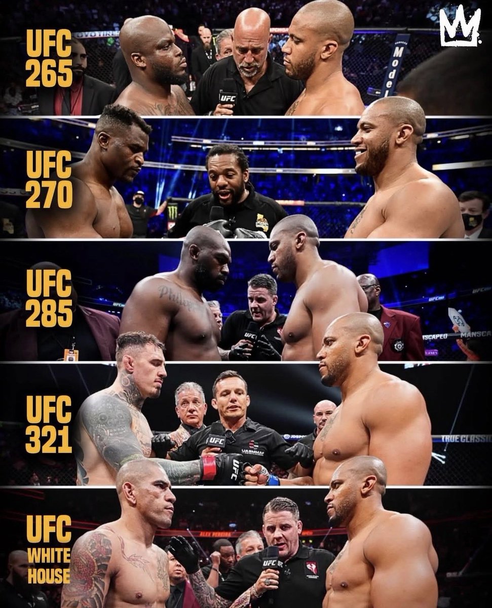 PΛЯIIΛ💭 tweet media