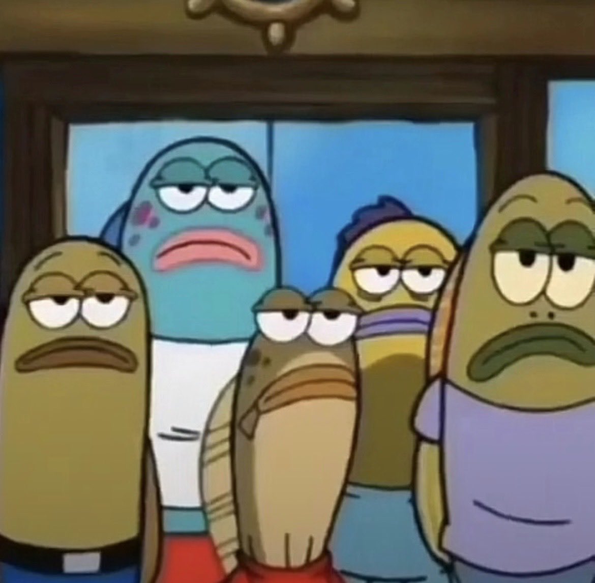 Delusional Alaskan Malamute Fan tweet media