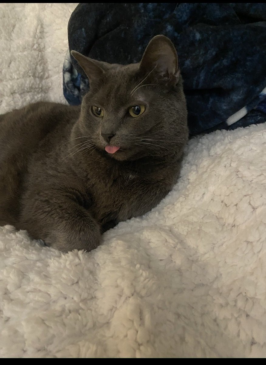 Dragonfly 🤍✨🎧💫 tweet media