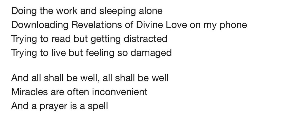 Shannon 🪉 tweet media