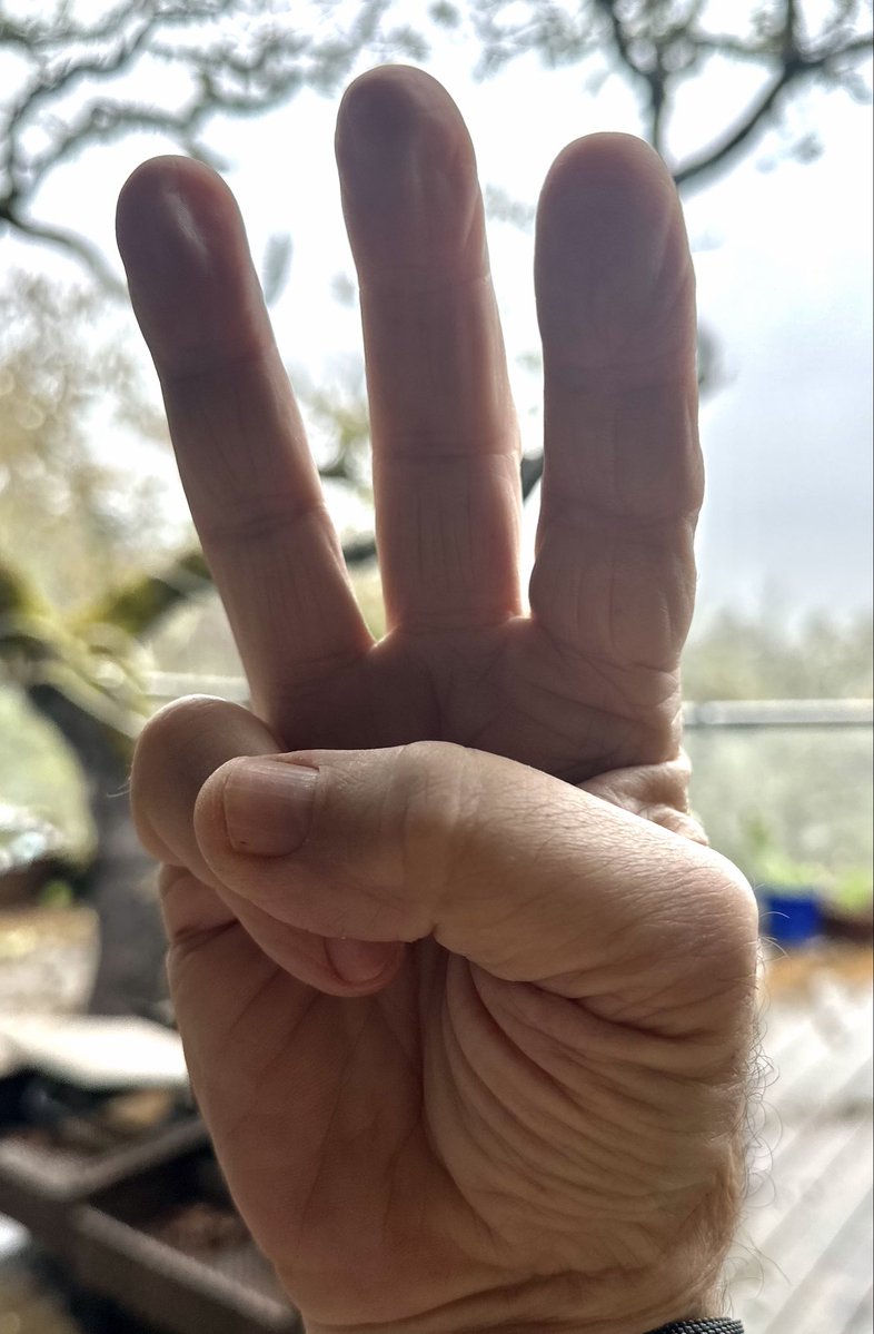 Stan Brody tweet media