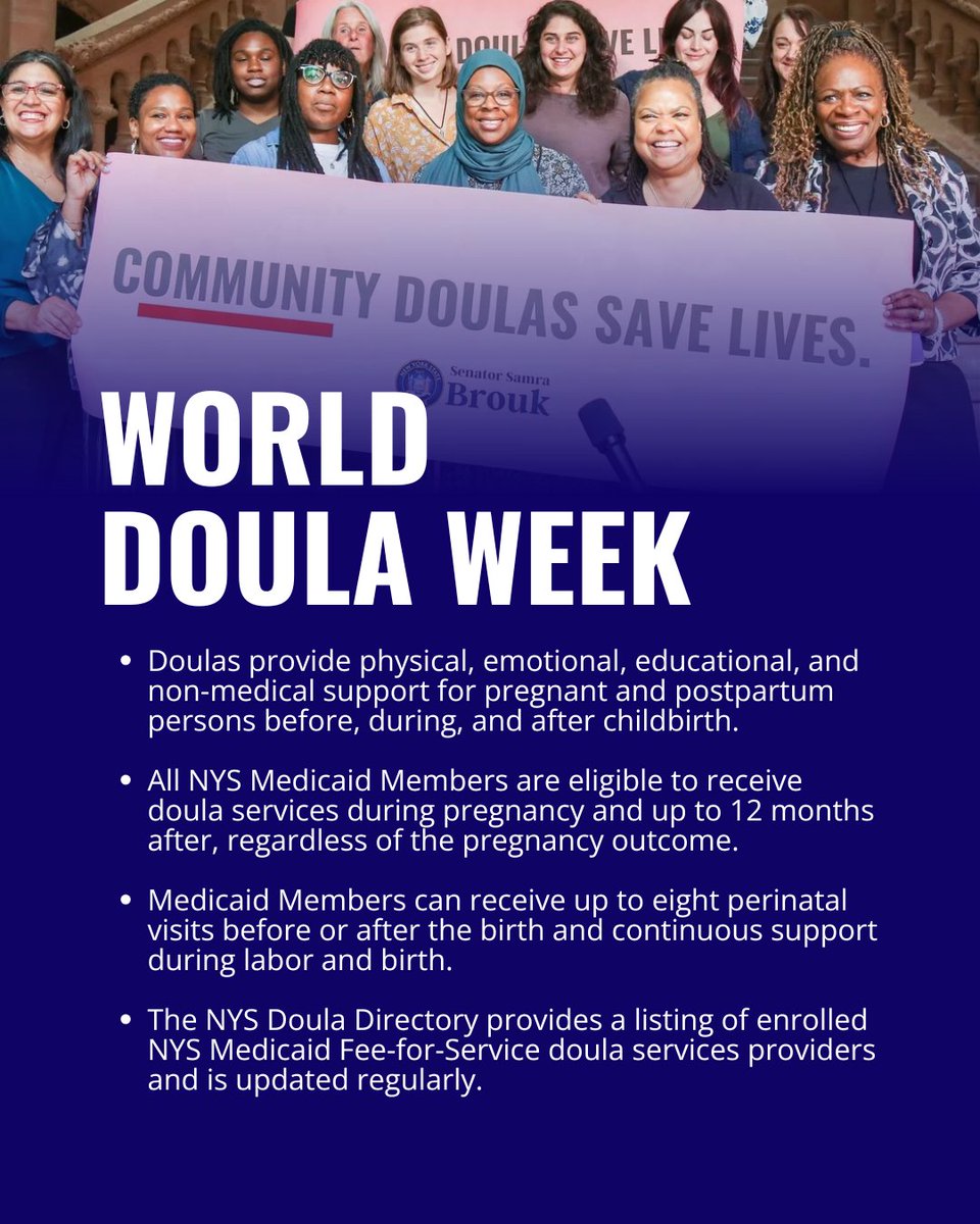 NYS Senator Samra Brouk tweet media