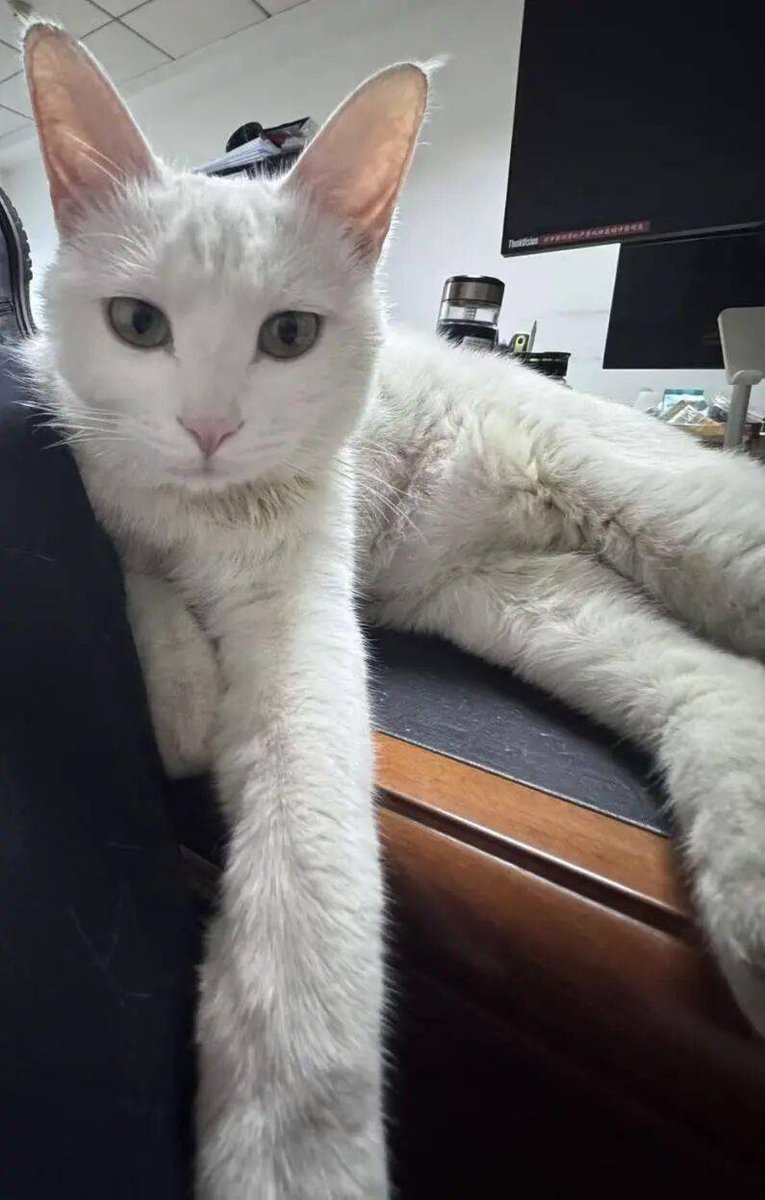 md Shahid  md samud tweet media