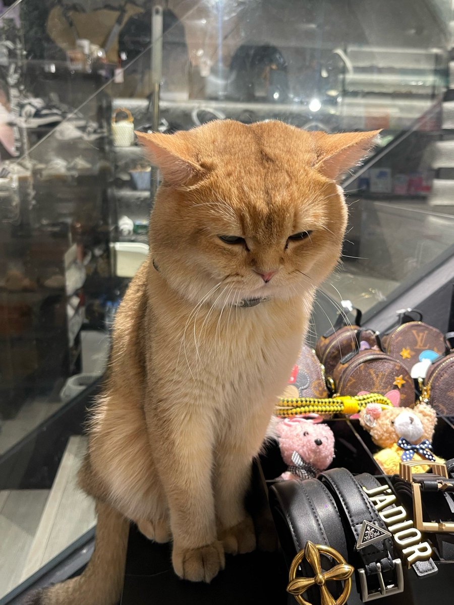 sumitshahu tweet media