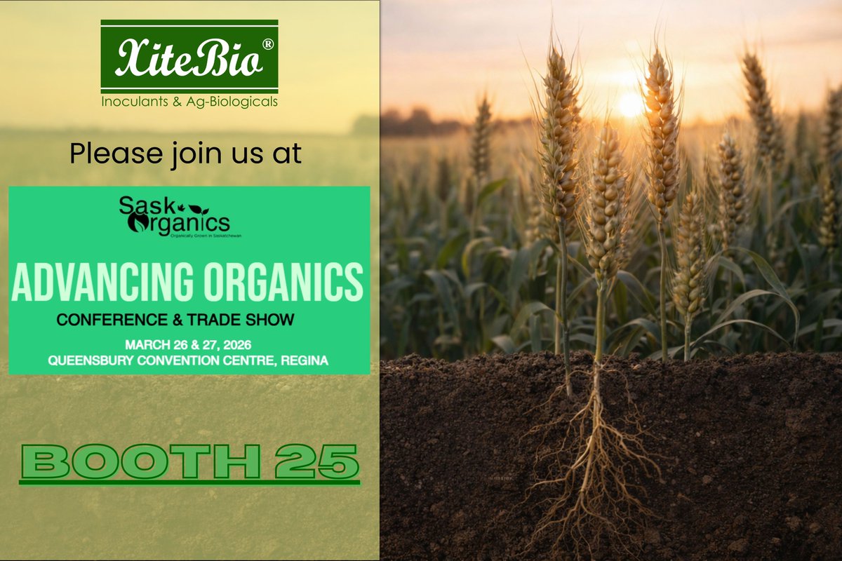 XiteBio Technologies tweet media