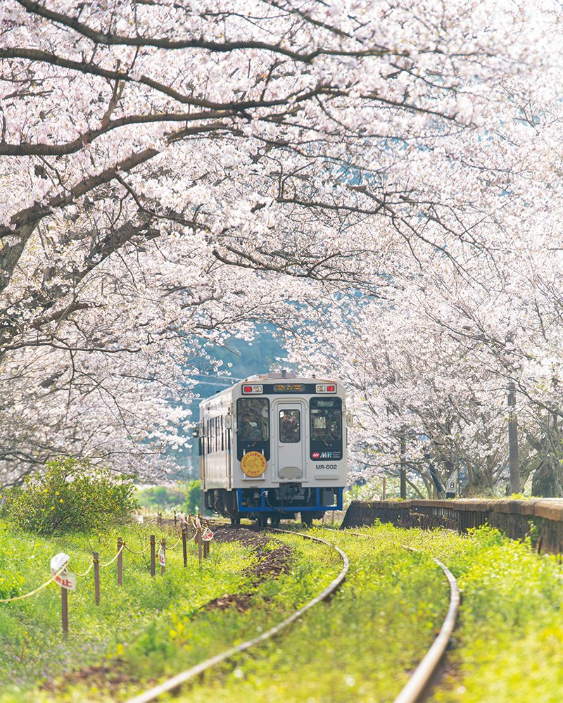 Kizuどん ㏍ tweet media