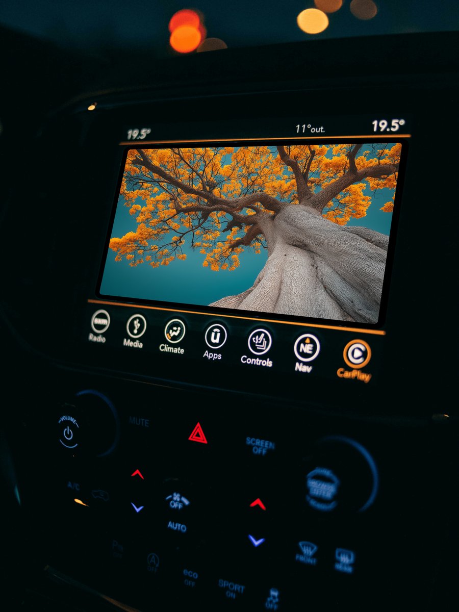 CKAUII VISION tweet media