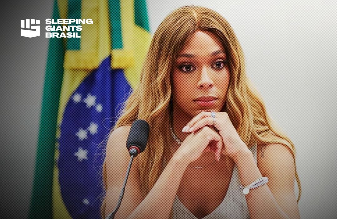 Sleeping Giants Brasil tweet media