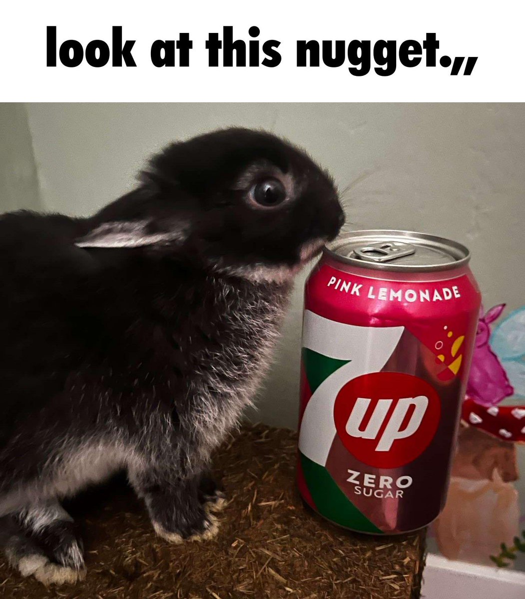 ⋆｡‧˚ʚ eleanor ɞ˚‧｡⋆ tweet media