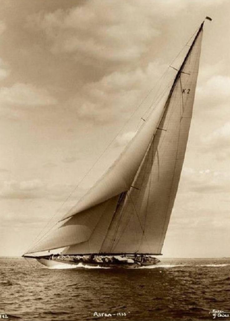 🎥 Marisa MS 🌷 tweet media