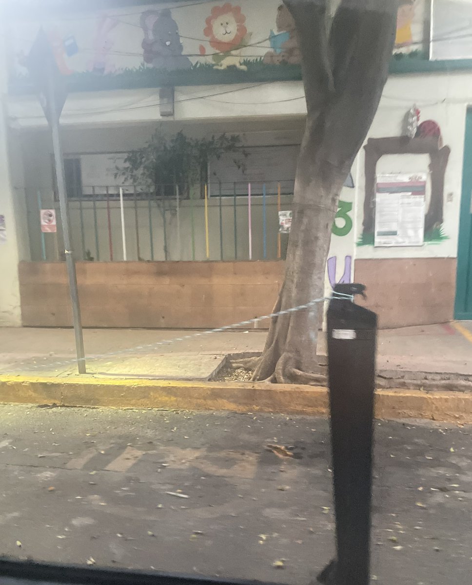 TipsmejorarDF tweet media