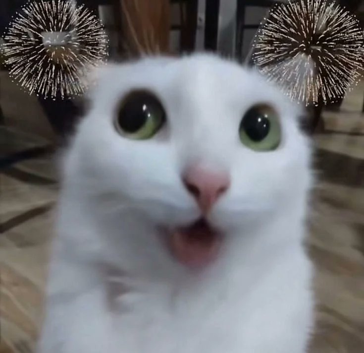 Akko 103 tweet media