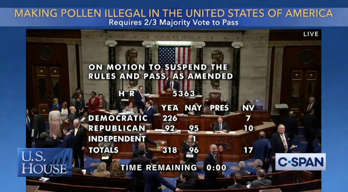 Joe Padula tweet media