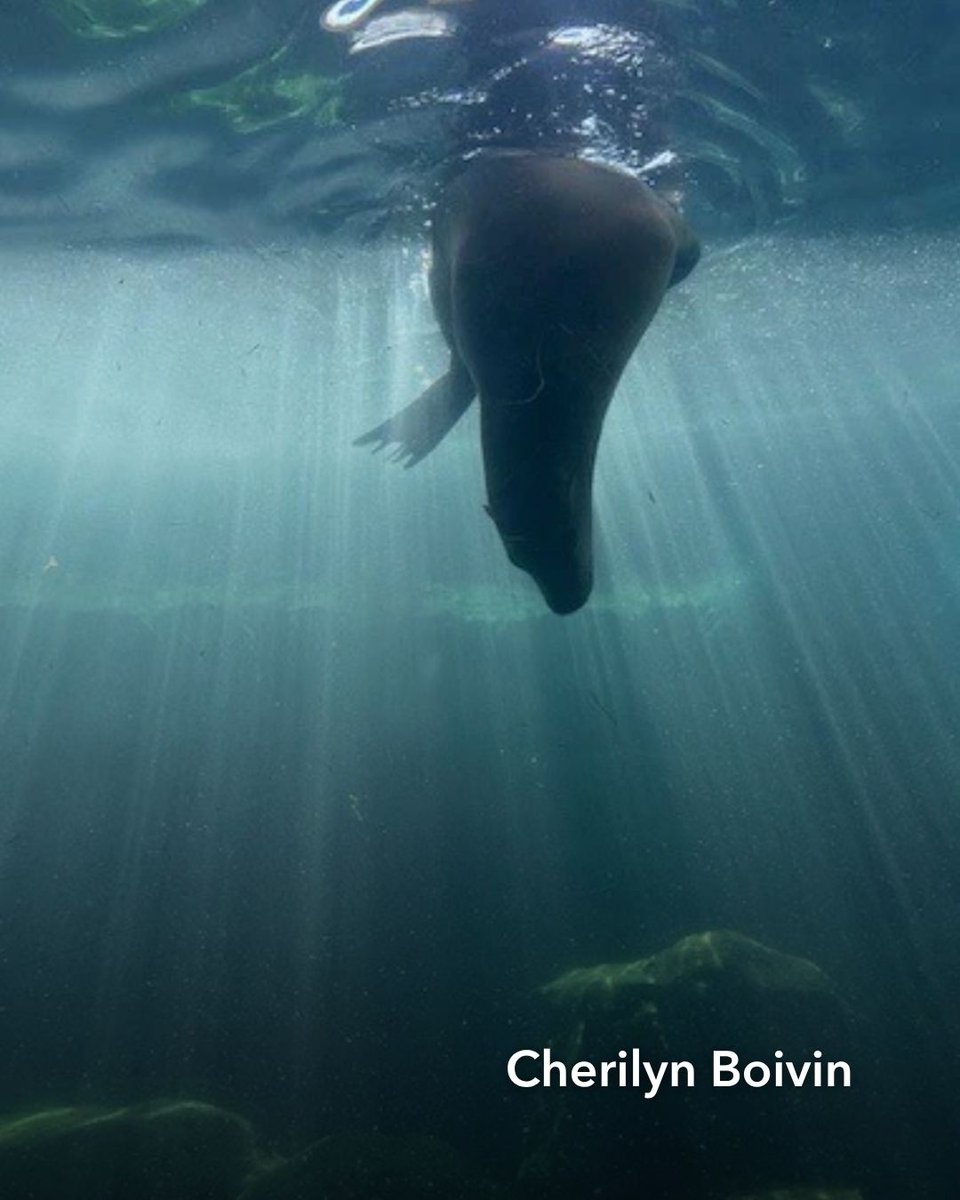 Kaiser Permanente Orange County tweet media