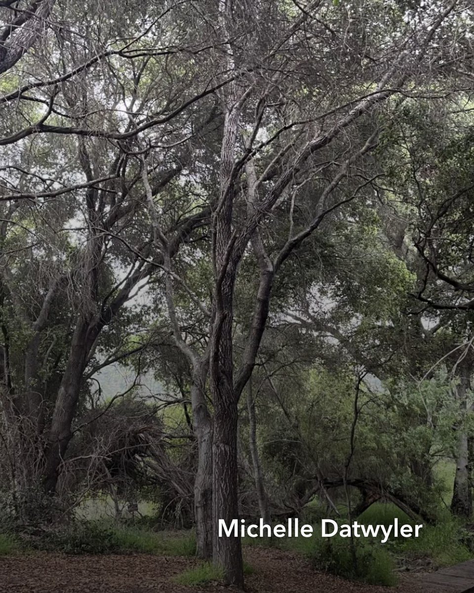 Kaiser Permanente Orange County tweet media