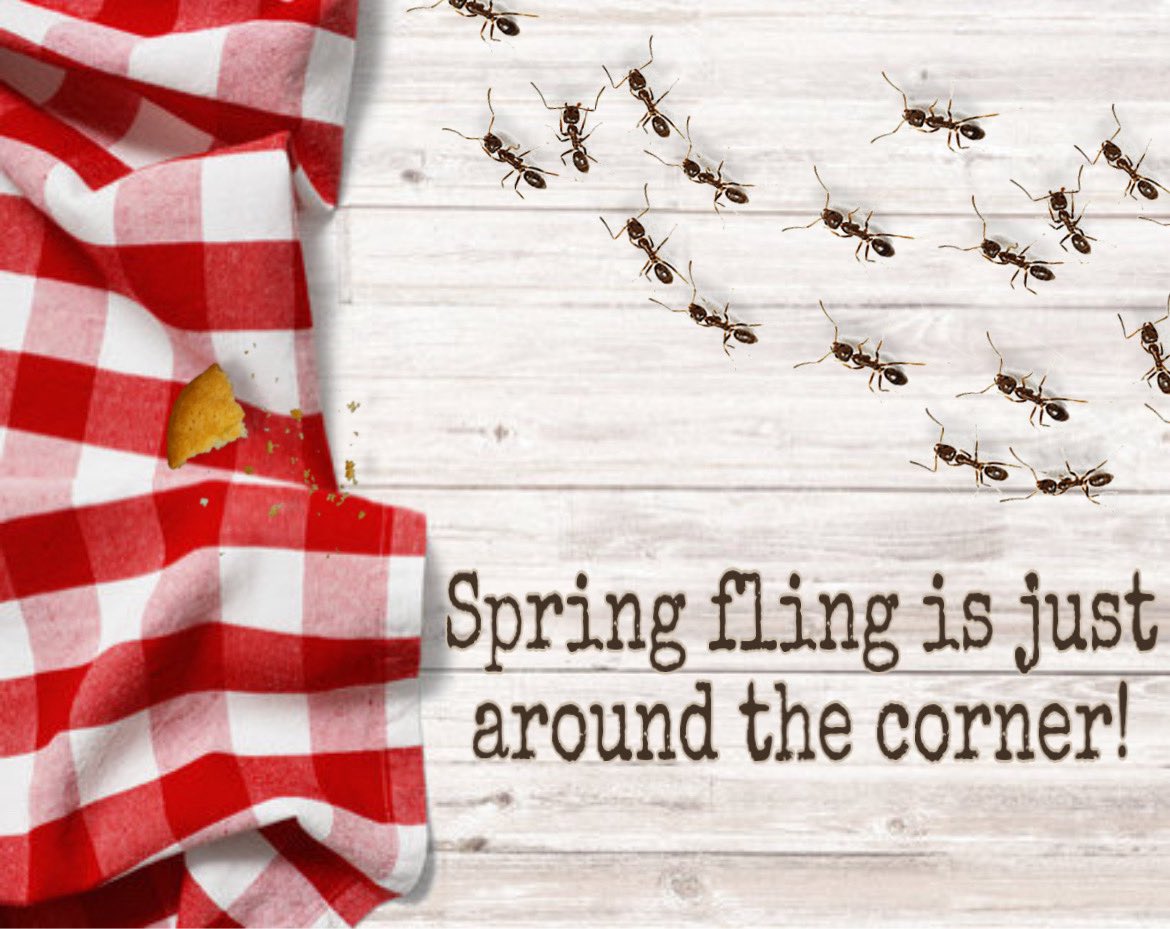 randolphsga's tweet photo. Spring fling is just around the corner!! Who else is excited? Can you guess the theme yet?👀❓ #RCCSGA #RCCProud https://t.co/VV07pCNJOJ