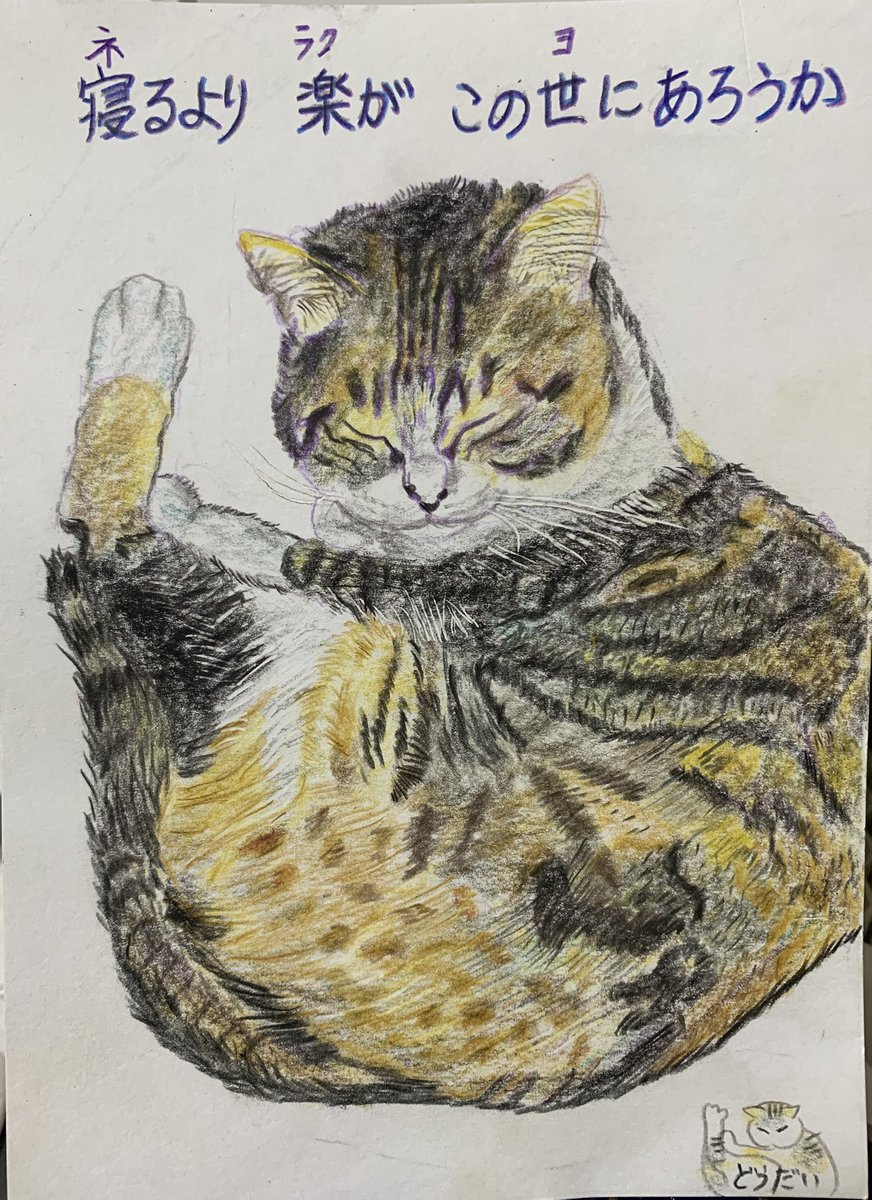 どうだい tweet media