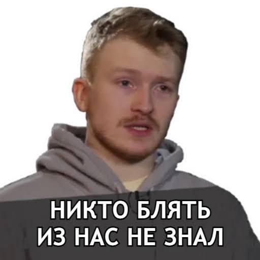 ассорти из всего tweet media