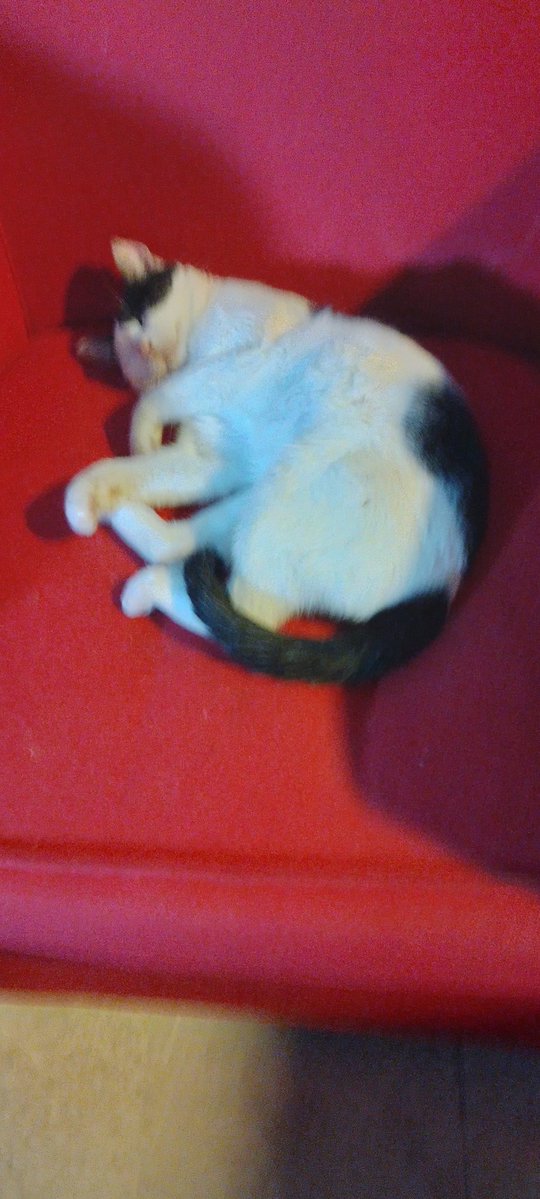 Geez Genesis tweet media