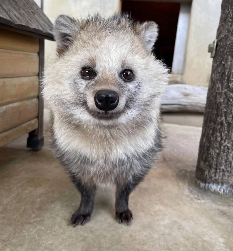 cascading spiral of entropy tweet media