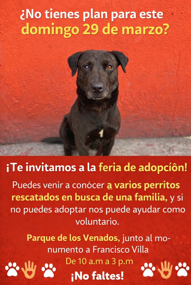 𝙷𝚎𝚕𝚊 𝙼𝚘𝚛𝚎 🐶 tweet media