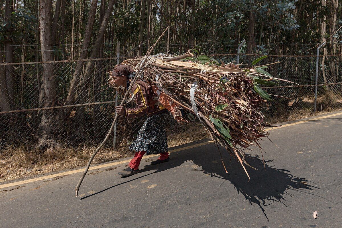 Claudine Cassar tweet media