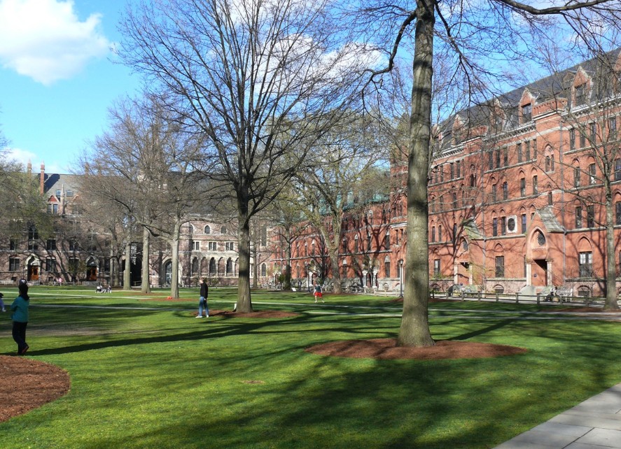 Diari de la llengua tweet media