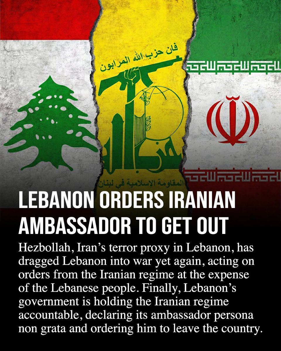 Bassem Eid tweet media