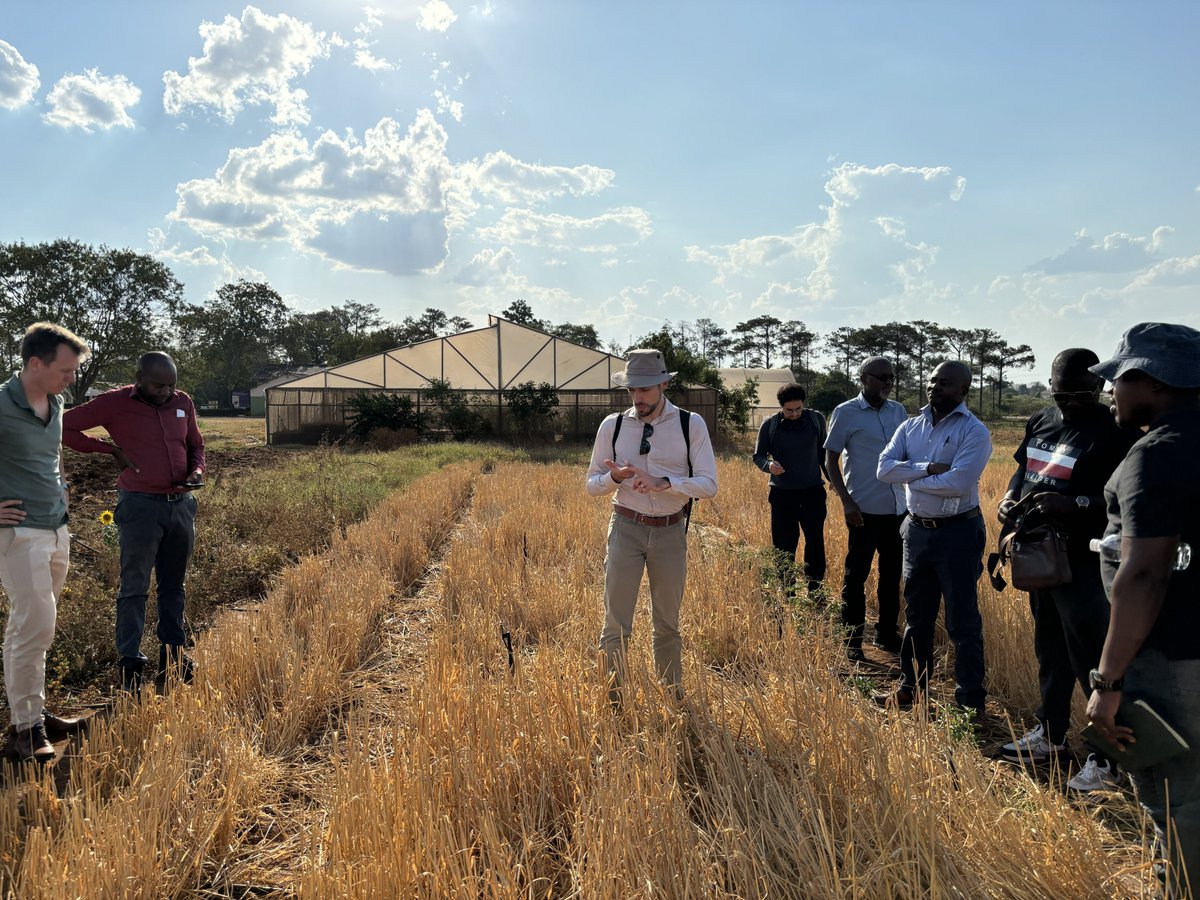Harvest tweet media