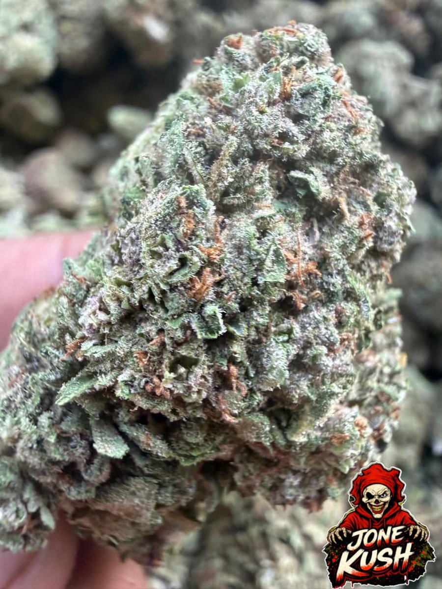 JONE KUSH 3 tweet media