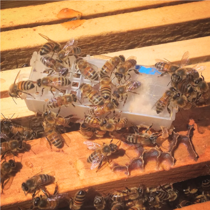 Simon Coates tweet media