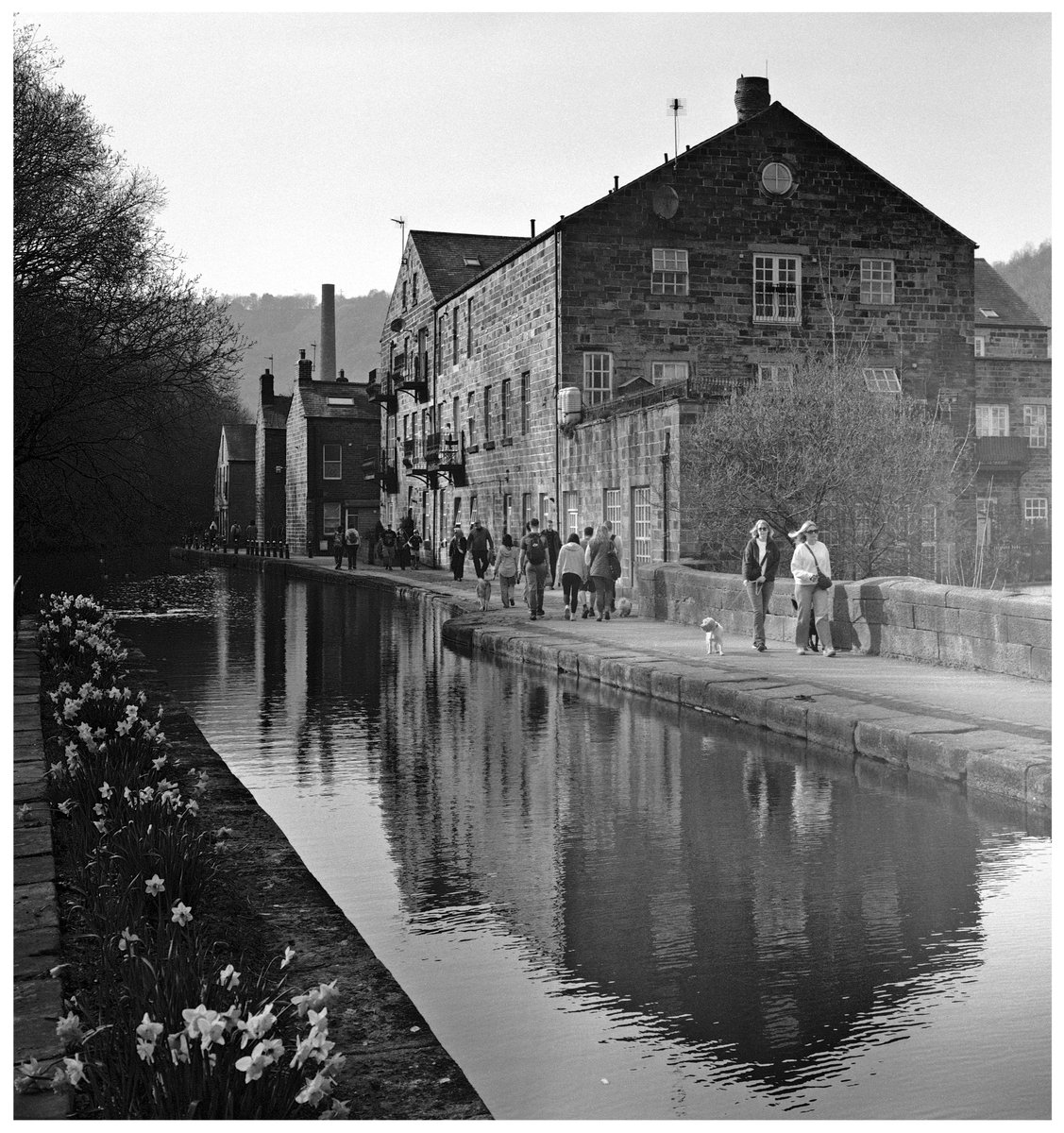 Jeandron's tweet image. A warm, spring's day stroll along the Rochdale canal in Hebden Bridge, West Yorkshire.
(Intrepid 4x5 mk3, Fujinon 150mm 5.6, f16 1/125 sec, Arista Edu 400 @ 200)
#filmphotography #filmisnotdead #largeformat #Analog #staybrokeshootfilm #hebdenbridge #blackandwhite #canal