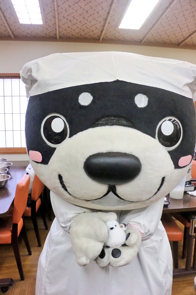 和み柴っこ【公式】 tweet media