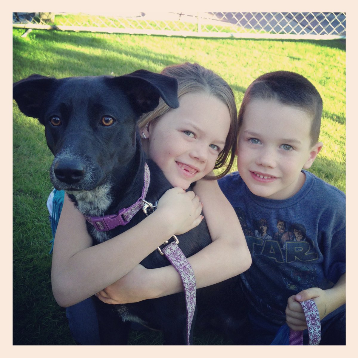 Clintus🌵McGintus tweet media