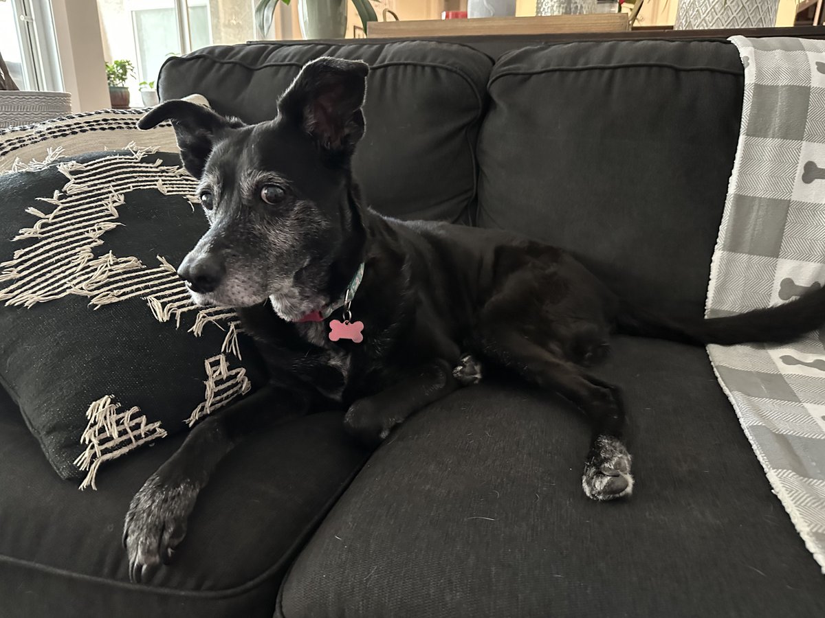 Clintus🌵McGintus tweet media